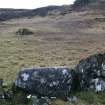 Digital photograph of panel to south-west, from Scotland's Rock Art Project, Clachadow, Oban, Argyll and Bute