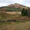 Digital photograph of panel in context with scale, from Scotland's Rock Art Project, Clachadow, Oban, Argyll and Bute