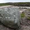 Digital photograph of rock art panel context, Scotland's Rock Art Project, Balephetrish, Tiree, Argyll and Bute