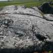 Digital photograph of panel in context with scale, from Scotland's Rock Art Project, Cadruim 1, Tiree, Argyll and Bute