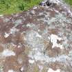 Digital photograph of rock art panel context, Scotland's Rock Art Project, Cadruim 2, Tiree, Argyll and Bute