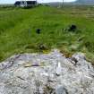 Digital photograph of panel to south, from Scotland's Rock Art Project, Ceosabh 2, Tiree, Argyll and Bute