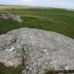 Digital photograph of rock art panel context, Scotland's Rock Art Project, Ceosabh 3, Tiree, Argyll and Bute