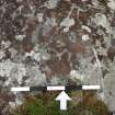 Digital photograph of rock art panel context, Scotland's Rock Art Project, Cnoc Fhoirnigial 1, Tiree, Argyll and Bute