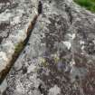 Digital photograph of close ups of motifs, from Scotland's Rock Art Project, Cnoc Fhoirnigial 1, Tiree, Argyll and Bute