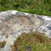 Digital photograph of rock art panel context, Scotland's Rock Art Project, Creag an Sgalaig 2, Tiree, Argyll and Bute