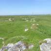 Digital photograph of panorama, from Scotland's Rock Art Project, Creag na Sgalaig 1, Tiree, Argyll and Bute
