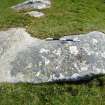 Digital photograph of panel, from Scotland's Rock Art Project, Heylipol 3, Tiree, Argyll and Bute