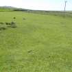 Digital photograph of panel to south, Scotland's Rock Art Project, Heylipol 3, Tiree, Argyll and Bute