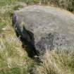 Digital photograph of panel to east, from Scotland's Rock Art Project, Scarrel 8, Bute, Argyll and Bute