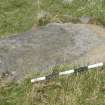 Digital photograph of panel to north, from Scotland's Rock Art Project, Scarrel 8, Bute, Argyll and Bute