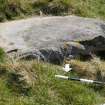 Digital photograph of panel to south, from Scotland's Rock Art Project, Scarrel 8, Bute, Argyll and Bute