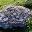 Digital photograph of panel, from Scotland’s Rock Art Project, Cairnholy 2, Dumfries and Galloway