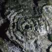 Digital photograph of close ups of motifs, from Scotland’s Rock Art Project, Cairnholy 2, Dumfries and Galloway