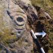 Digital photograph of close ups of motifs, from Scotland’s Rock Art Project, Cairnholy 4, Dumfries and Galloway