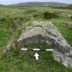 Digital photograph of rock art panel context, Scotland's Rock Art Project, Cairnholy 4, Dumfries and Galloway
