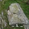 Digital photograph of rock art panel context, Scotland's Rock Art Project, Cairnholy 4, Dumfries and Galloway