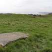 Digital photograph of panorama, from Scotland’s Rock Art Project, Cairnholy 5, Dumfries and Galloway