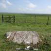 Digital photograph of panel in context with scale, from Scotland’s Rock Art Project, Drumtroddan 1, Dumfries and Galloway