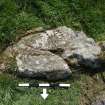 Digital photograph of perpendicular to carved surface(s), from Scotland’s Rock Art Project, Drumtroddan 4, Dumfries and Galloway