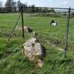 Digital photograph of panel in context without scale, from Scotland’s Rock Art Project, Drumtroddan 4, Dumfries and Galloway