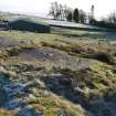 Digital photograph of panel in context without scale, from Scotland's Rock Art Project, North Blochairn, East Dunbartonshire