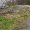 Digital photograph of panel in context without scale, from Scotland's Rock Art Project, Whitehill 1, East Dunbartonshire