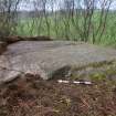 Digital photograph of panel to south-west, from Scotland's Rock Art Project, Whitehill 6, East Dunbartonshire