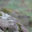 Digital photograph of close ups of motifs, Scotland's Rock Art Project, Tormain Hill 7, Edinburgh