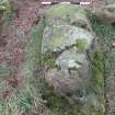 Digital photograph of rock art panel context, Scotland's Rock Art Project, Tormain Hill 7, Edinburgh