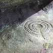 Digital photograph of rock art panel context, Scotland's Rock Art Project, Binn 1, Fife