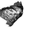 Snapshot of 3D model, Scotland's Rock Art Project, Binn 2, Fife