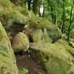 Digital photograph of panel in context with scale, Scotland's Rock Art Project, Binn 2, Fife