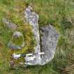 Digital photograph of panel before cleaning, Scotland's Rock Art Project, Corlick Hill, Inverclyde