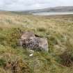 Digital photograph of panel in context with scale, Scotland's Rock Art Project, Corlick Hill, Inverclyde