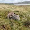Digital photograph of panel in context without scale, Scotland's Rock Art Project, Corlick Hill, Inverclyde