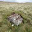Digital photograph of panel to east, Scotland's Rock Art Project, Corlick Hill, Inverclyde