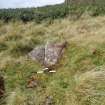 Digital photograph of panel to west, Scotland's Rock Art Project, Corlick Hill, Inverclyde