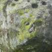 Digital photograph of rock art panel context, Scotland's Rock Art Project, Allt a' Choire Chireinich 2, Perth and Kinross