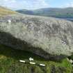 Digital photograph of rock art panel context, Scotland's Rock Art Project, Allt a' Choire Chireinich 3, Perth and Kinross