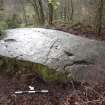 Digital photograph of panel to south-west, from Scotland's Rock Art Project, Auchnacraig 1, West Dunbartonshire