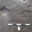 Digital photograph of close ups of motifs, from Scotland's Rock Art Project, Auchnacraig 1, West Dunbartonshire