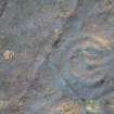Digital photograph of rock art panel context, Scotland's Rock Art Project, Auchnacraig 1, West Dunbartonshire