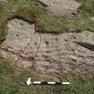 Digital photograph of rock art panel context, Scotland's Rock Art Project, Drumtroddan 11, Dumfries and Galloway