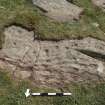 Digital photograph of perpendicular to carved surface(s), from Scotland’s Rock Art Project, Drumtroddan 11, Dumfries and Galloway