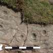 Digital photograph of close ups of motifs, from Scotland’s Rock Art Project, Drumtroddan 11, Dumfries and Galloway