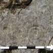 Digital photograph of close ups of motifs, from Scotland’s Rock Art Project, Drumtroddan 11, Dumfries and Galloway