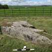 Digital photograph of panel to north-west, from Scotland’s Rock Art Project, Drumtroddan 11, Dumfries and Galloway