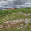 Digital photograph of panel to north-east, from Scotland’s Rock Art Project, Drumtroddan 11, Dumfries and Galloway