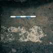 Archaeological evaluation, Test Pit 2 remnants modern wall (202), 126-128 High Street, Dunbar